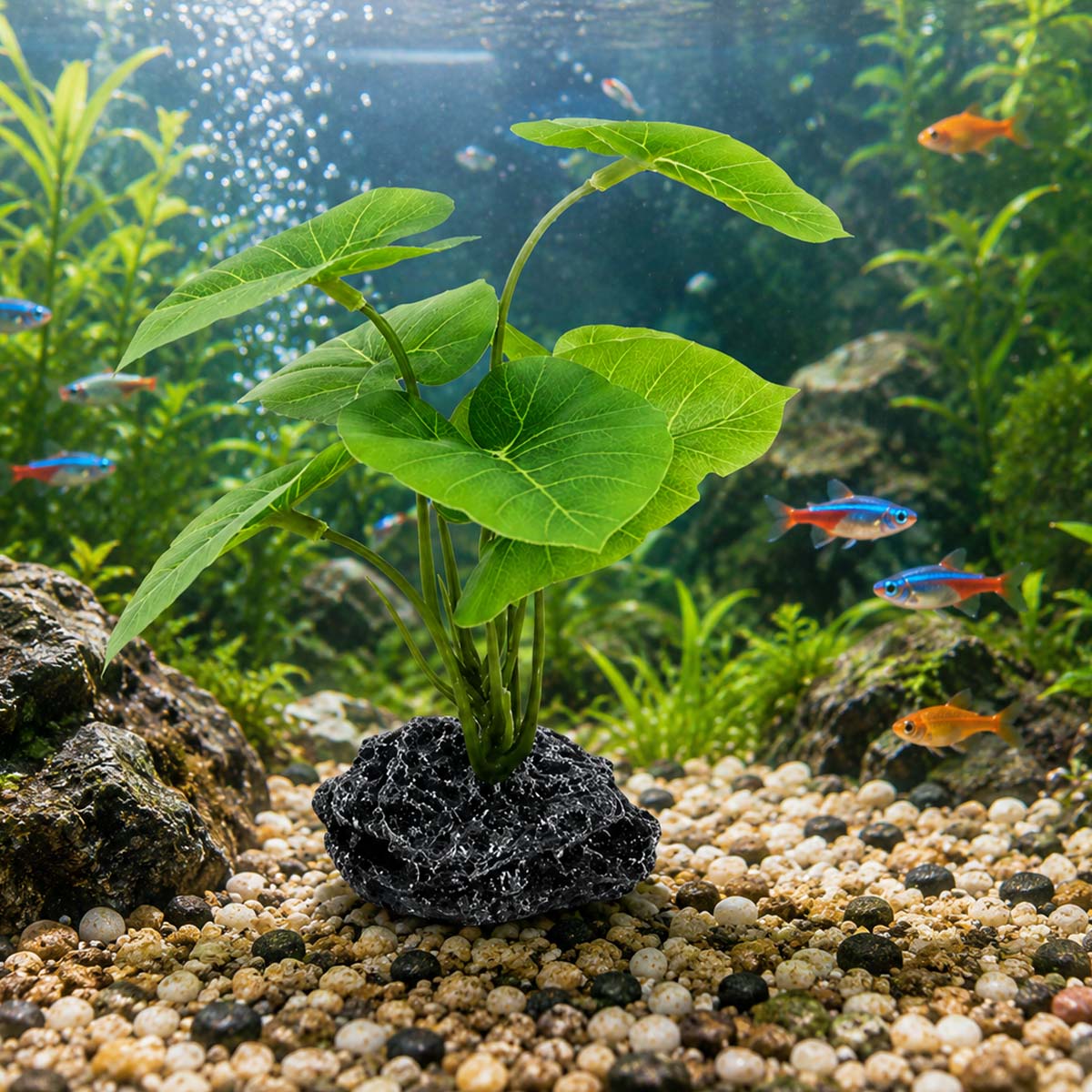 1個入り水槽用シミュレーション植物、人工水生植物、リアルな爬 - Terrarium Moss Art のレビューと価格