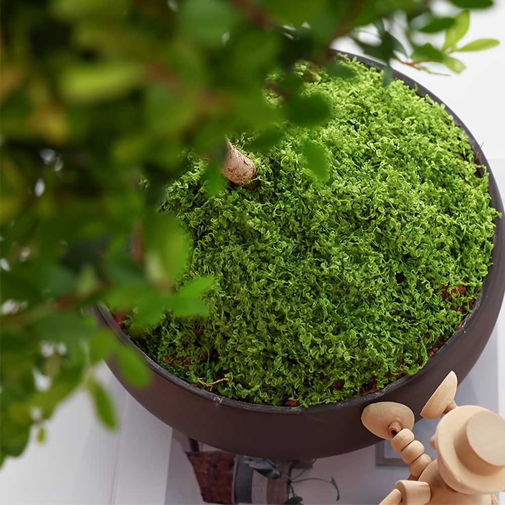 人工フェイクモス 1 パック、1.05 オンス DIY シミ - Terrarium Moss Art のレビューと価格