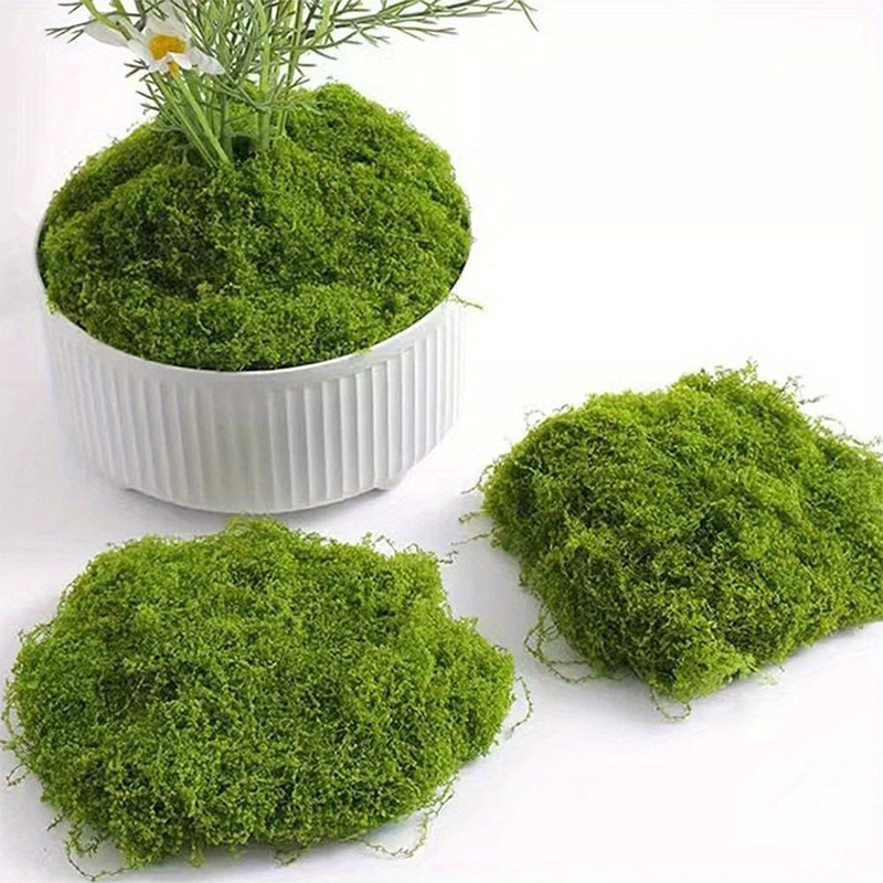 グリーンフェイクモス DIY 工芸品草人工苔フェイクプリザー - Terrarium Moss Art のレビューと価格