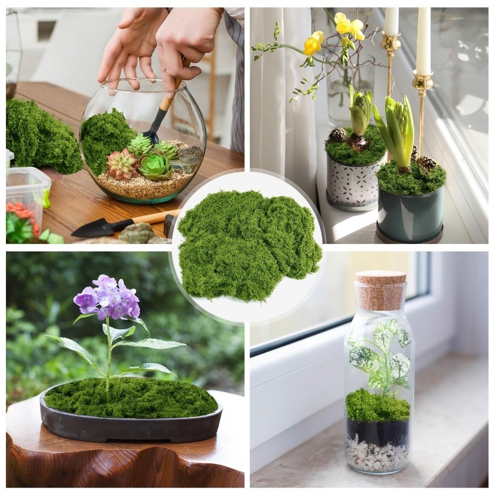 ポリエステル製人工苔植物 DIYクラフト リアルな質感の保存 - Terrarium Moss Art のレビューと価格