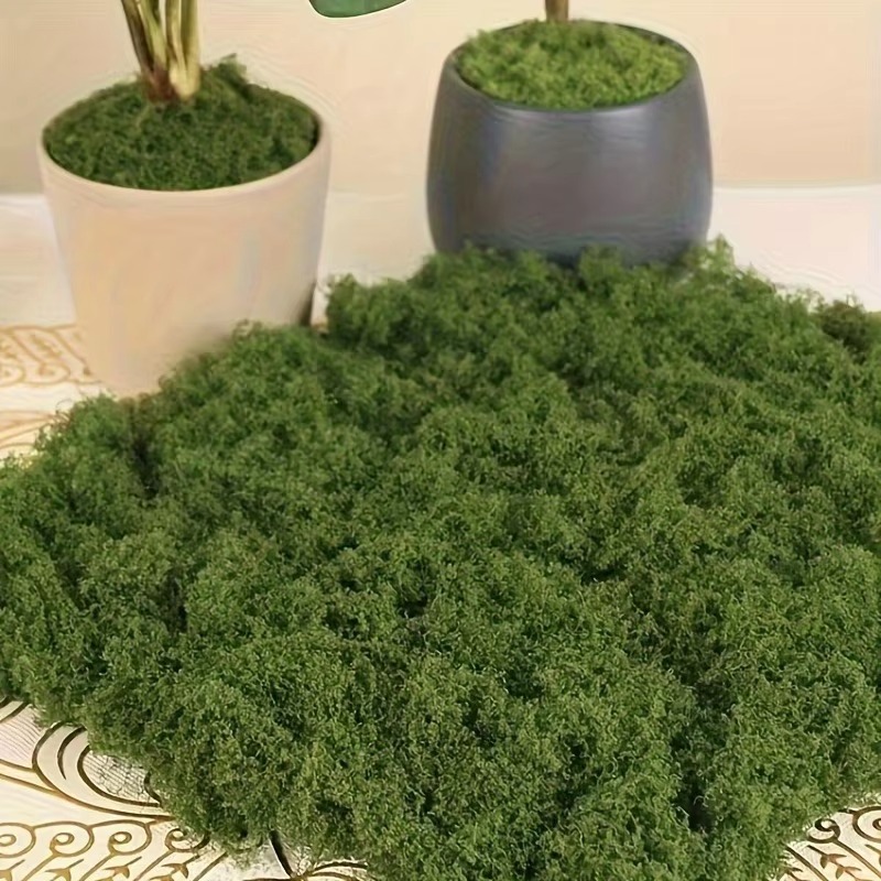 50 グラムグリーンフェイクモス DIY 工芸品草人工苔フェ - Terrarium Moss Art のレビューと価格