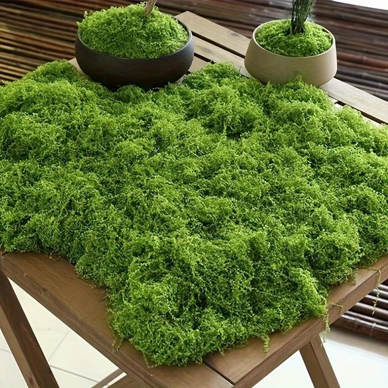 50 グラムグリーンフェイクモス DIY 工芸品草人工苔フェ - Terrarium Moss Art のレビューと価格